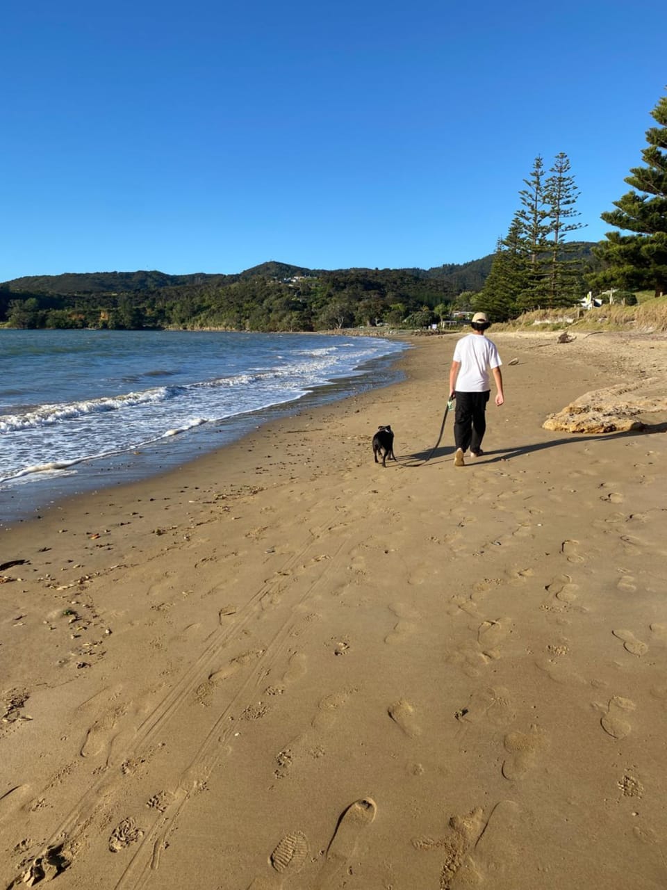 Sea view