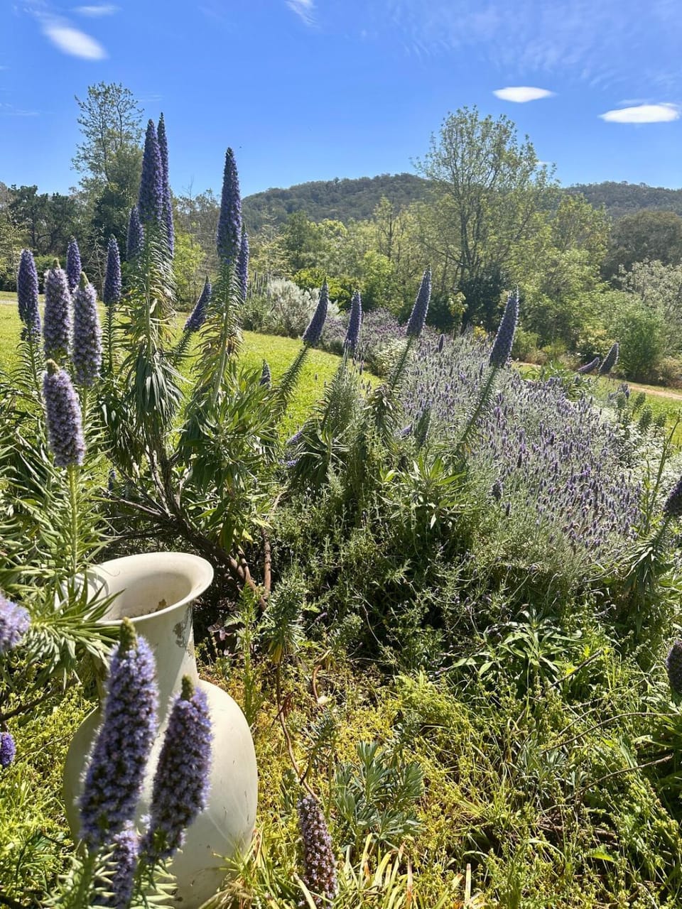 Garden, Garden view