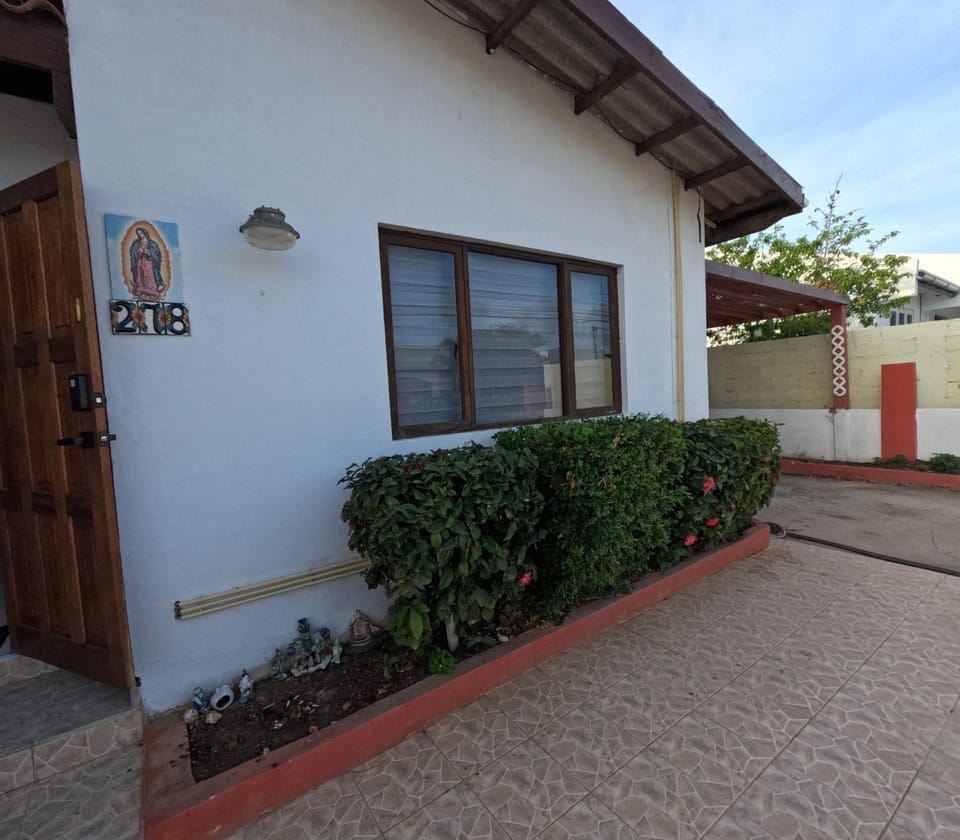 Palm Beach 278 House in Noord