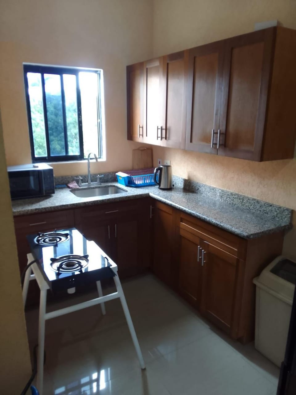 Sky Studio Oasis Apartment in Montego Bay