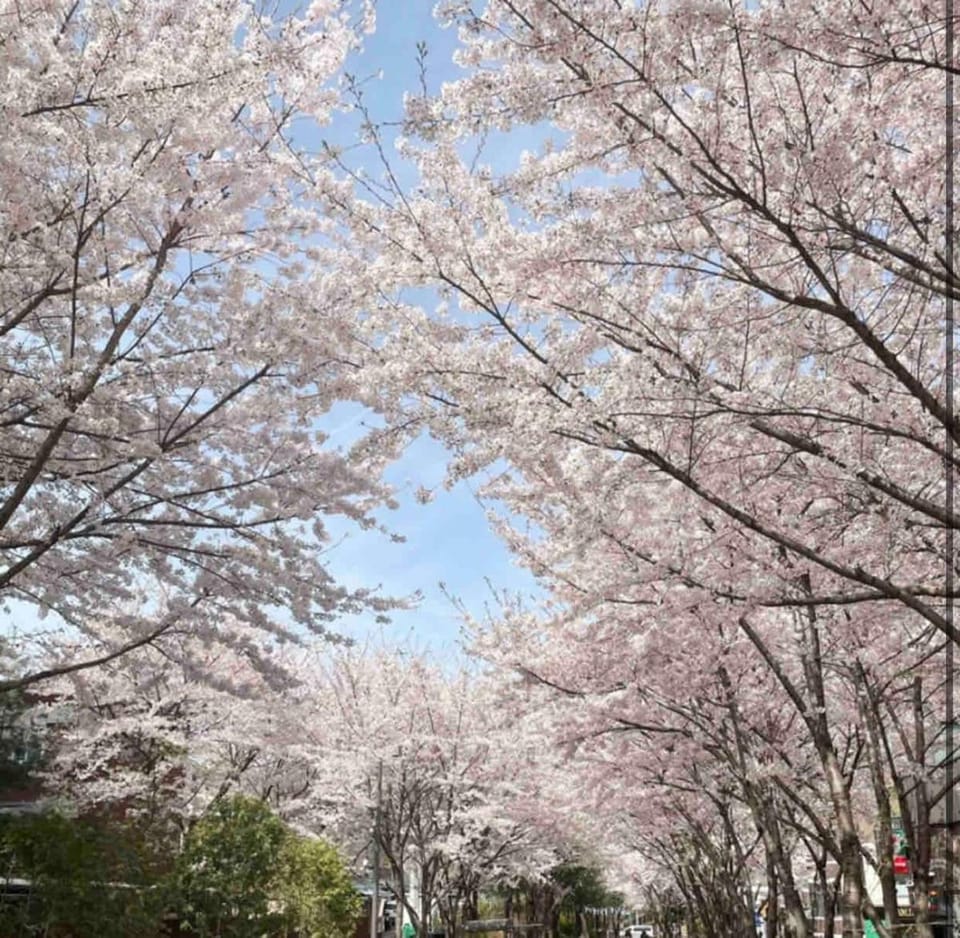 Hongdae Park 3Room apartment Apartment in Seoul