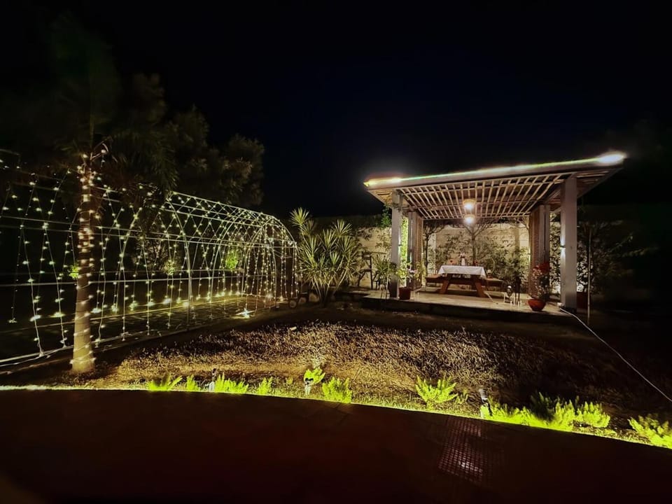 Night, Garden, Garden view, fireplace