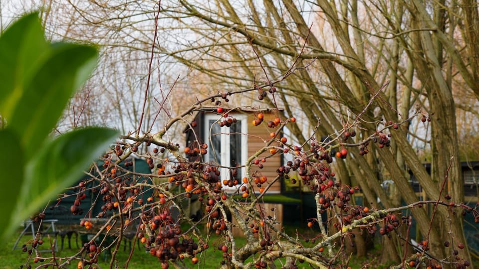 Natural landscape, Inner courtyard view