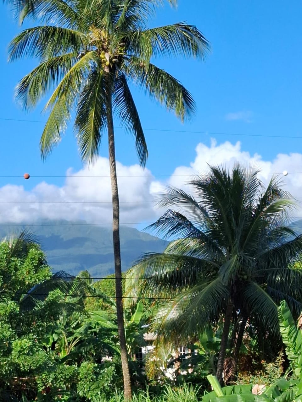 Le mirador Apartment in Leeward Islands
