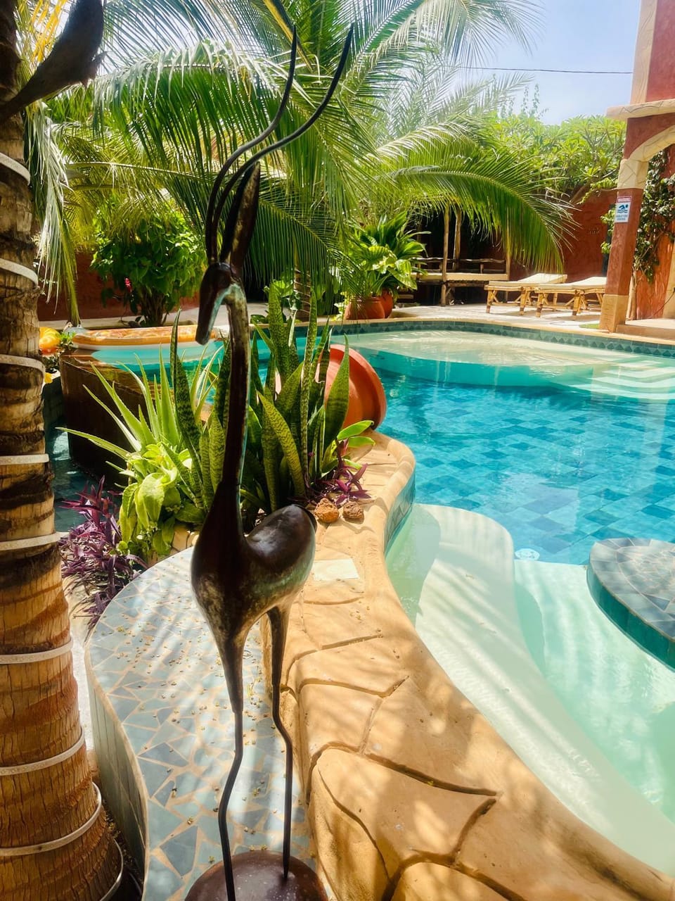 Garden, Pool view