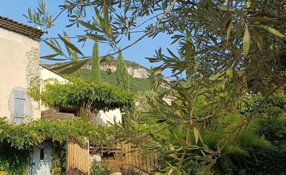 L'Ancienne Taverne Chambres d'hôtes et Gîtes Apartment in Provence
