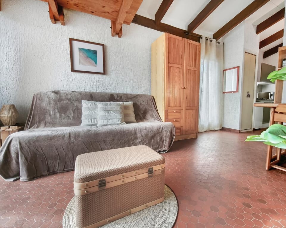 Studio Cosy avec terrasse et parking privé Apartment in Agde