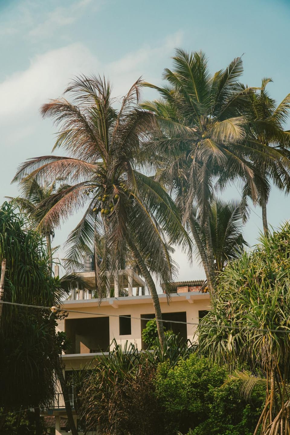 The Reset House - Wellness Hostel Hiriketiya Hostel in Southern Province