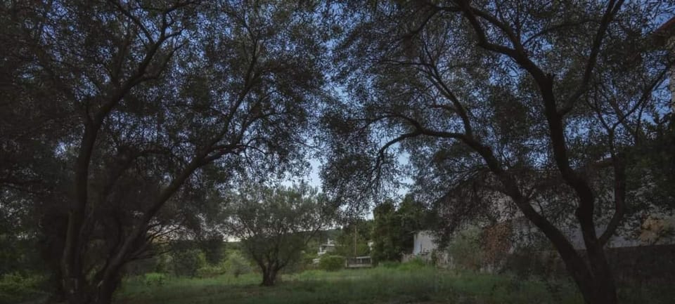 Gurba's House Apartment in Decentralized Administration of Macedonia and Thrace