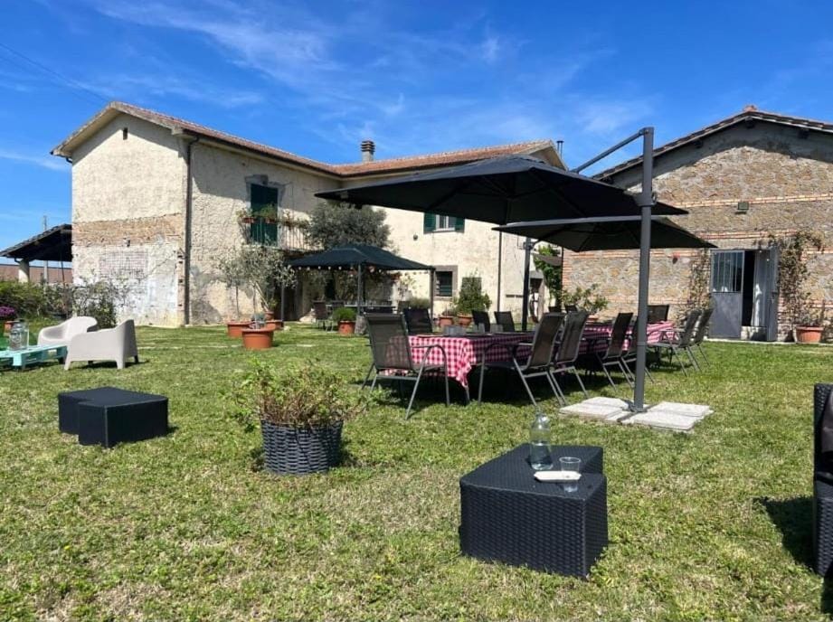 Spring, Garden, Garden view