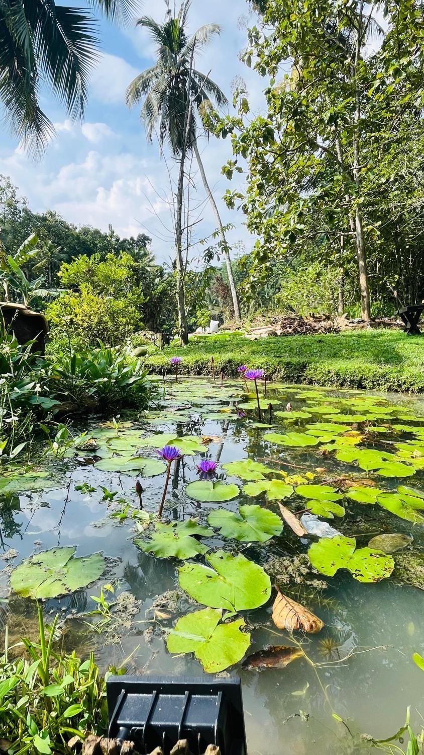 Calm Adventure Resort Resort in Southern Province