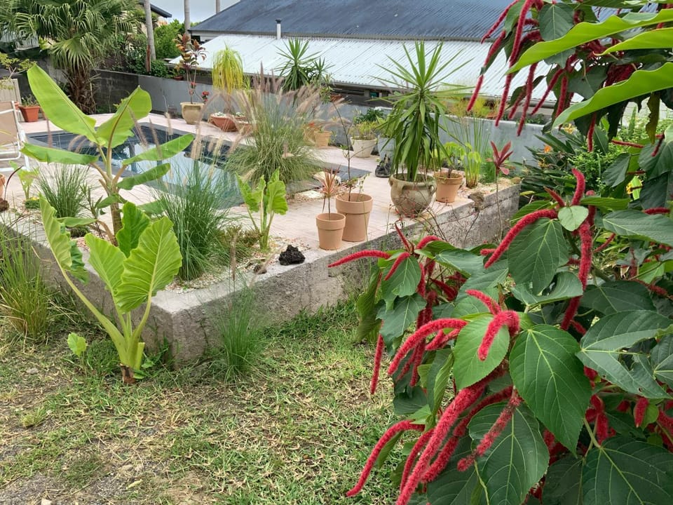 O kAZ de Petite île Apartment in Réunion