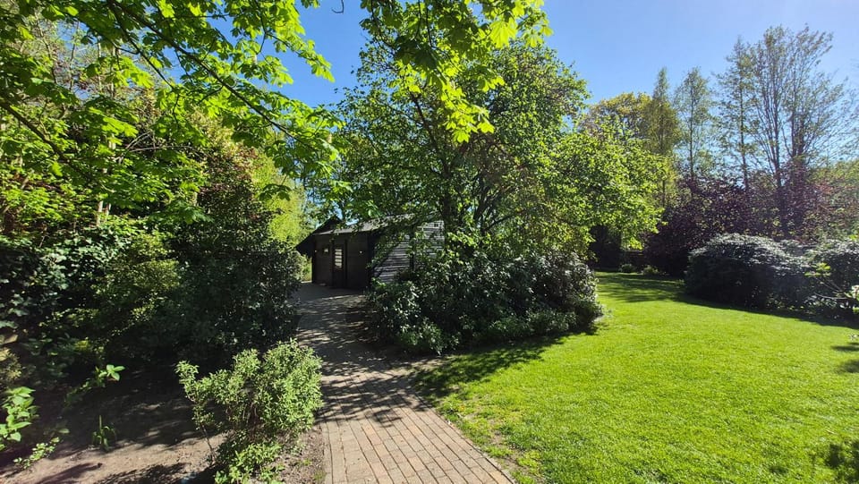 Property building, Garden view