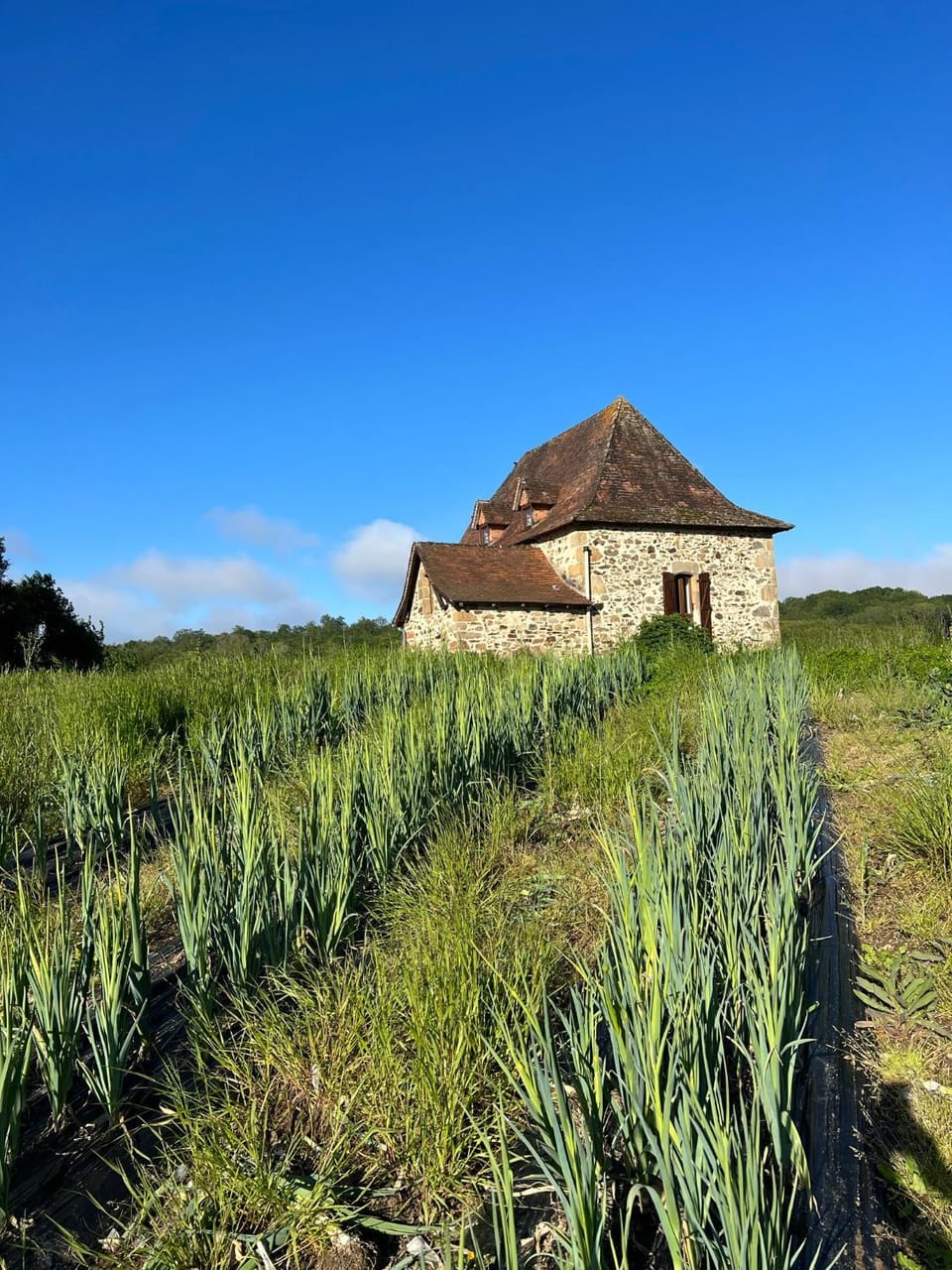 Property building, Landmark view