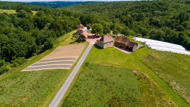 Property building, Neighbourhood, Natural landscape, Bird's eye view, Garden