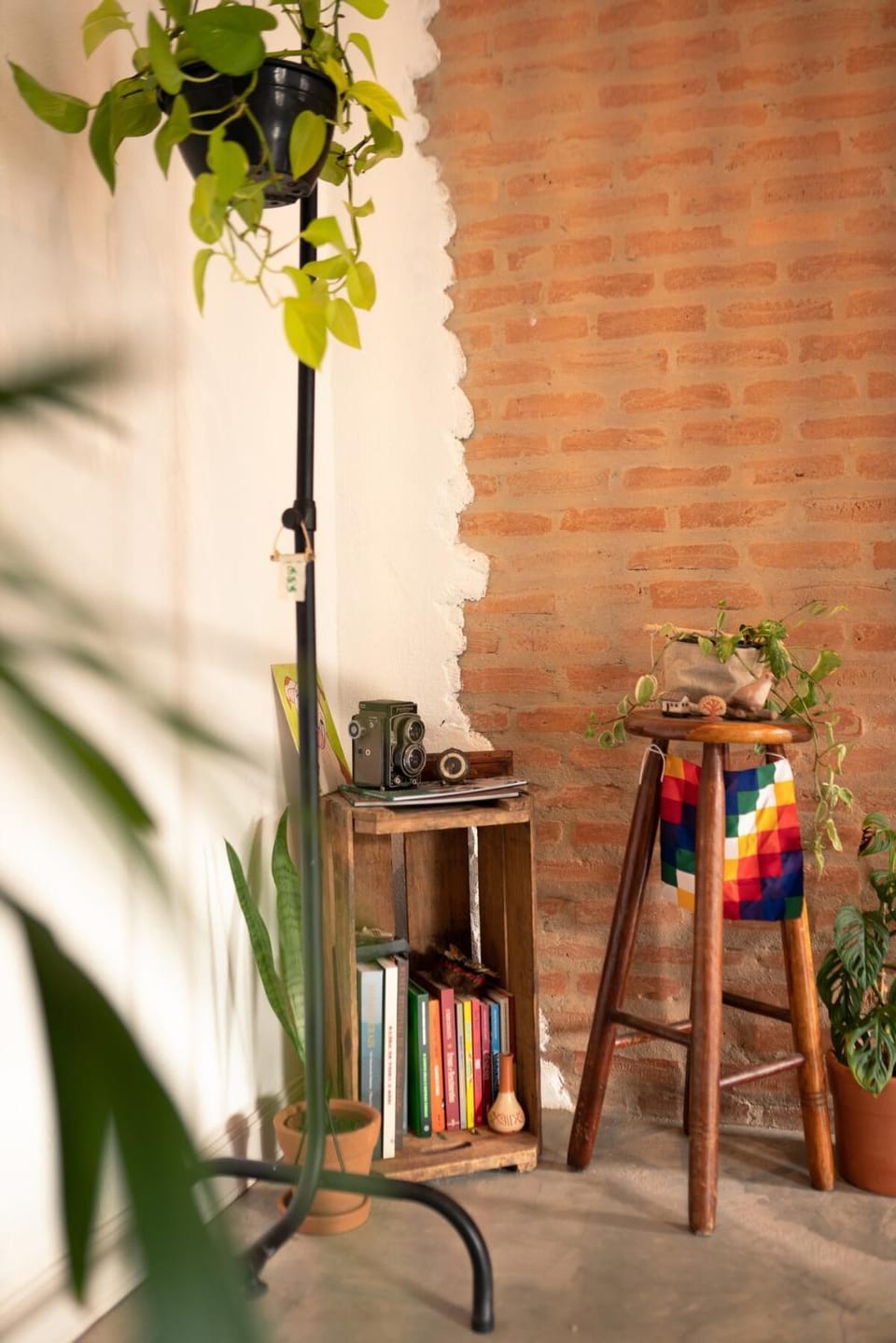 Studio Aracê House in State of São Paulo