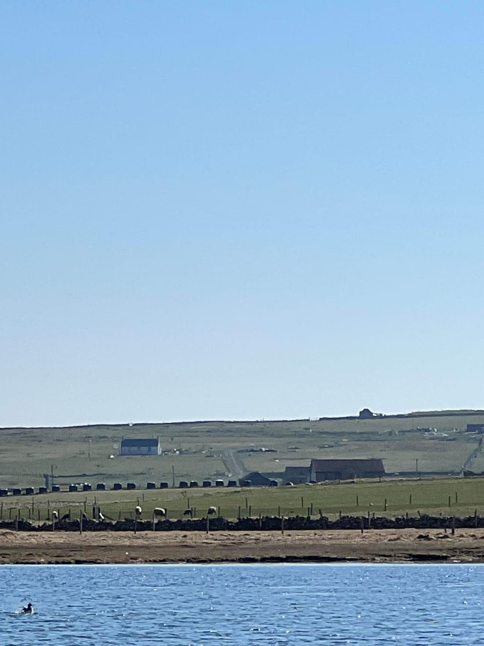 Natural landscape