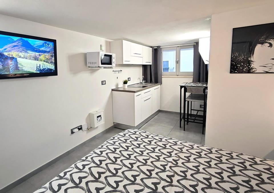 Bed, TV and multimedia, Kitchen or kitchenette, Photo of the whole room, Dining area, Bedroom, stove