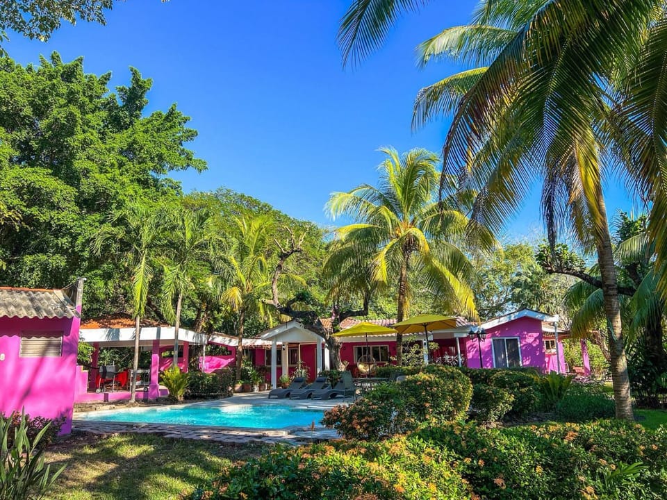 Garden, Garden view, Pool view, Swimming pool, sunbed