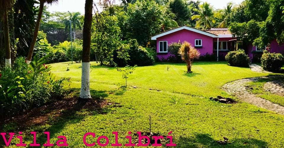 Property building, Garden, Garden view