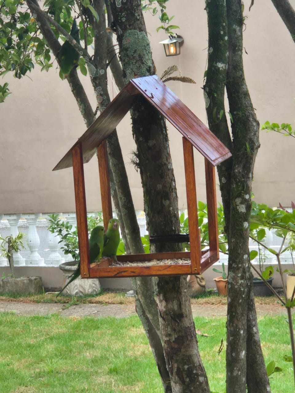Refúgio Litorâneo Bed and Breakfast in State of São Paulo
