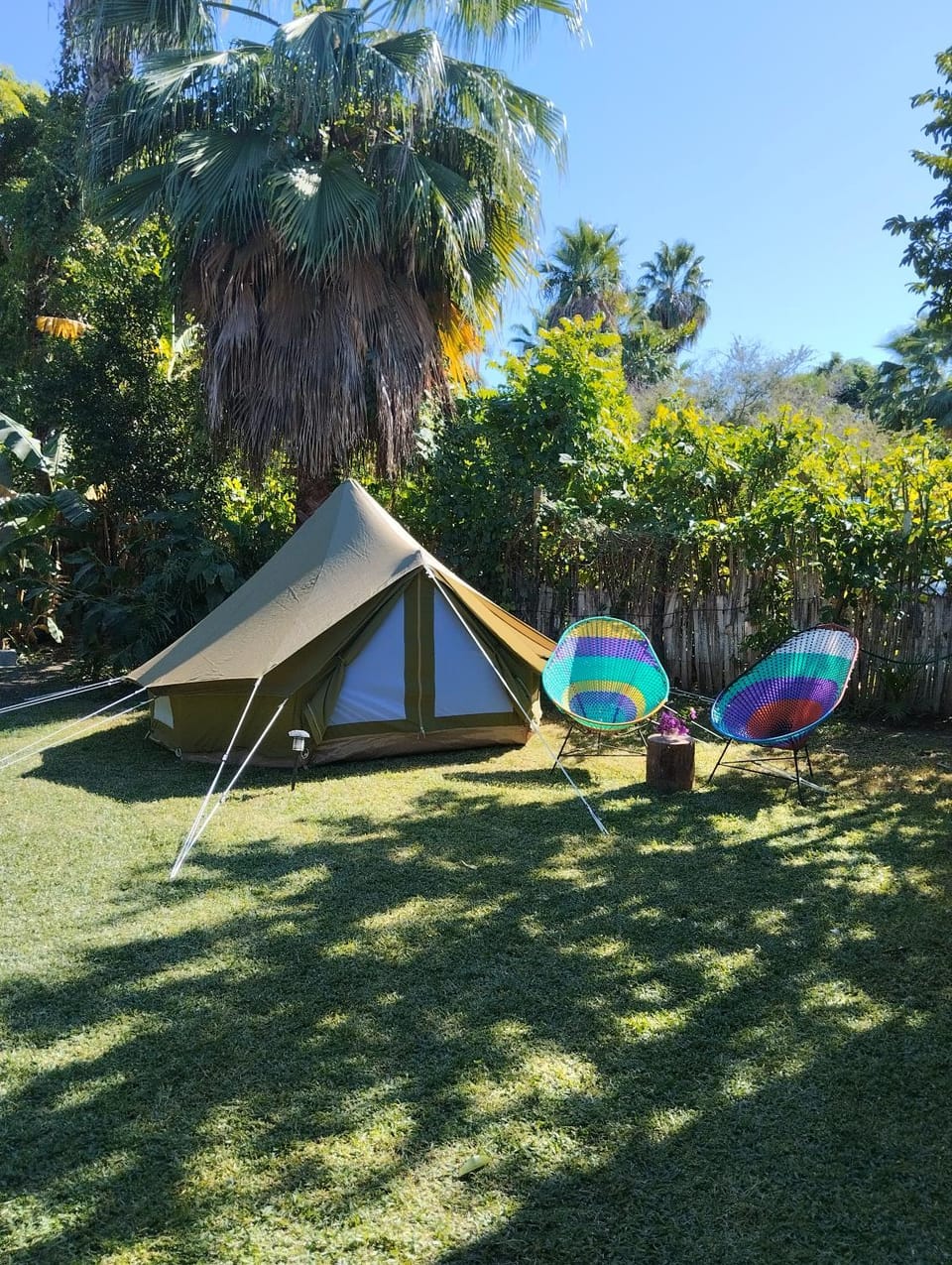 Los guayabos baja camp Luxury tent in Todos Santos