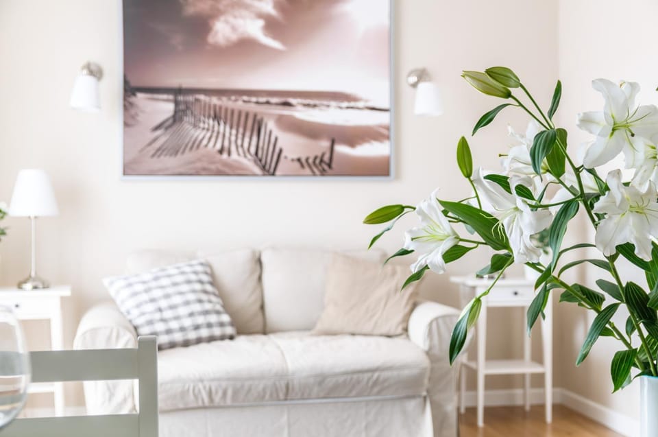 EUROPA22 "TU i TERAZ" Apartament Przytulny CENTRUM MIASTA Tomaszów Maz PARKING gratis EXPRESOWE zameldowanie od 13 Apartment in Masovian Voivodeship