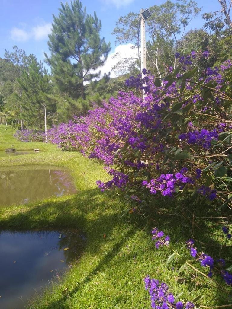 Sítio trilha da natureza House in State of São Paulo