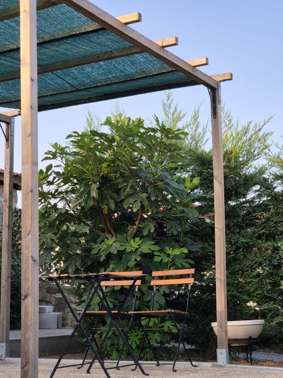 Casa da Figueira House in Porto District