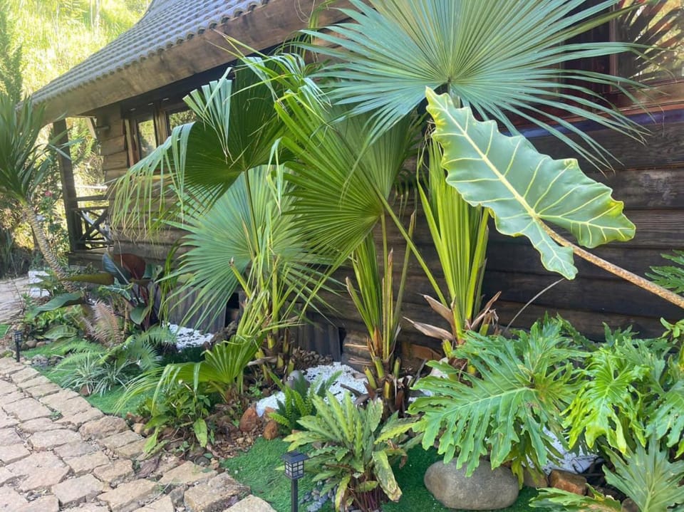 tinys house Villa in Lâm Đồng