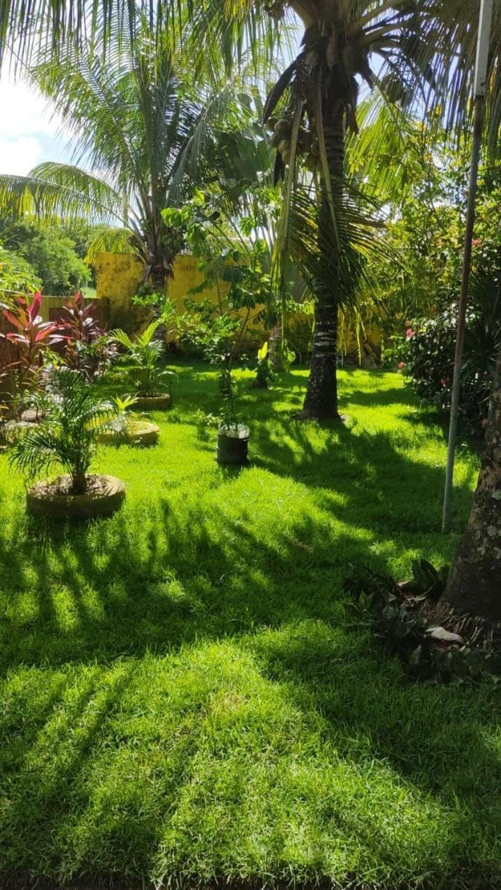 Casa amarela House in State of Bahia