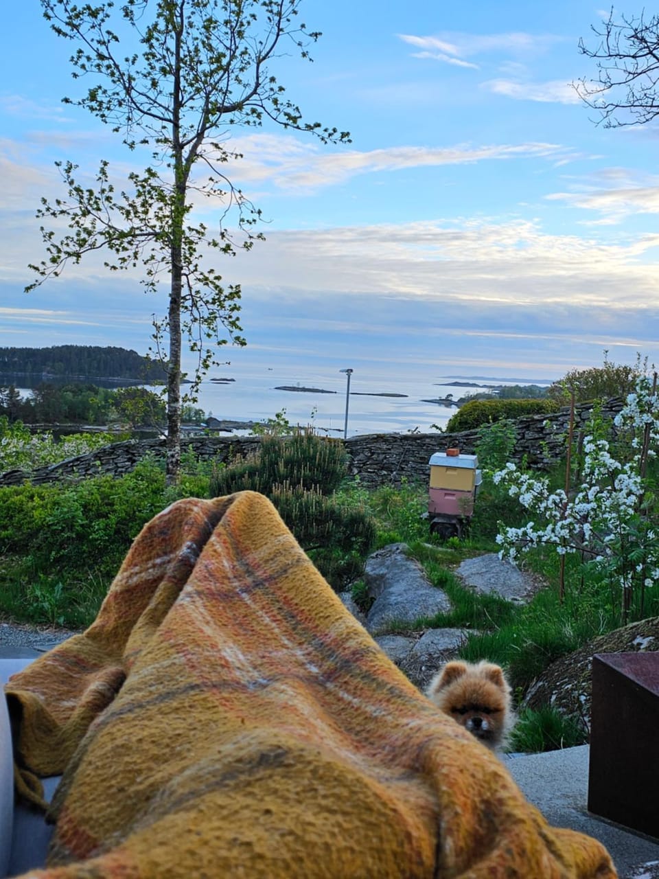 FjordView Sanctuary Apartment in Rogaland