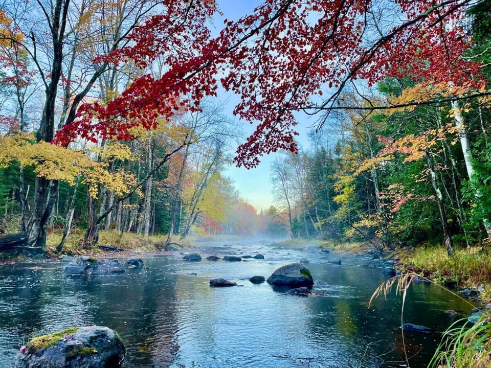Natural landscape, River view
