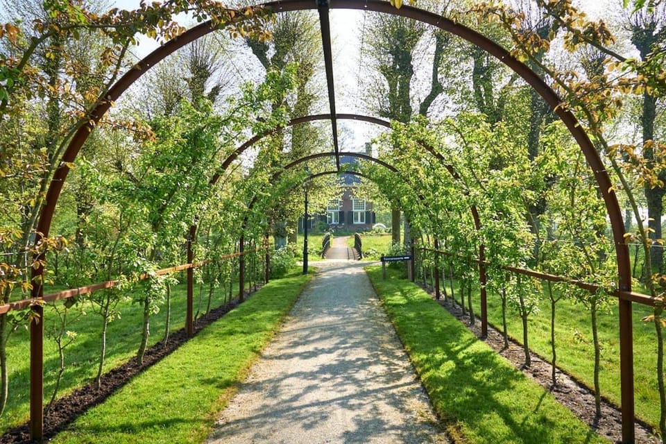 Day, Natural landscape, Garden
