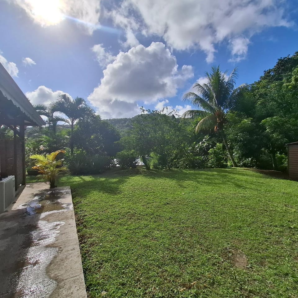 Natural landscape, Garden, Garden view