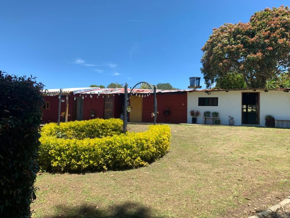 Garden, Garden view
