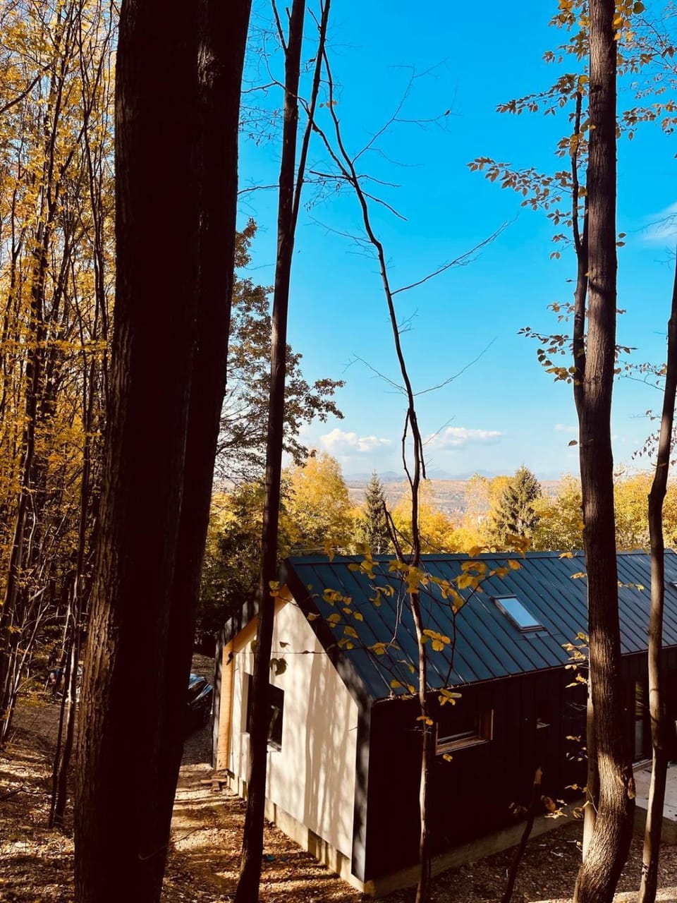 Forester Cabin Cabin in Prahova, Romania