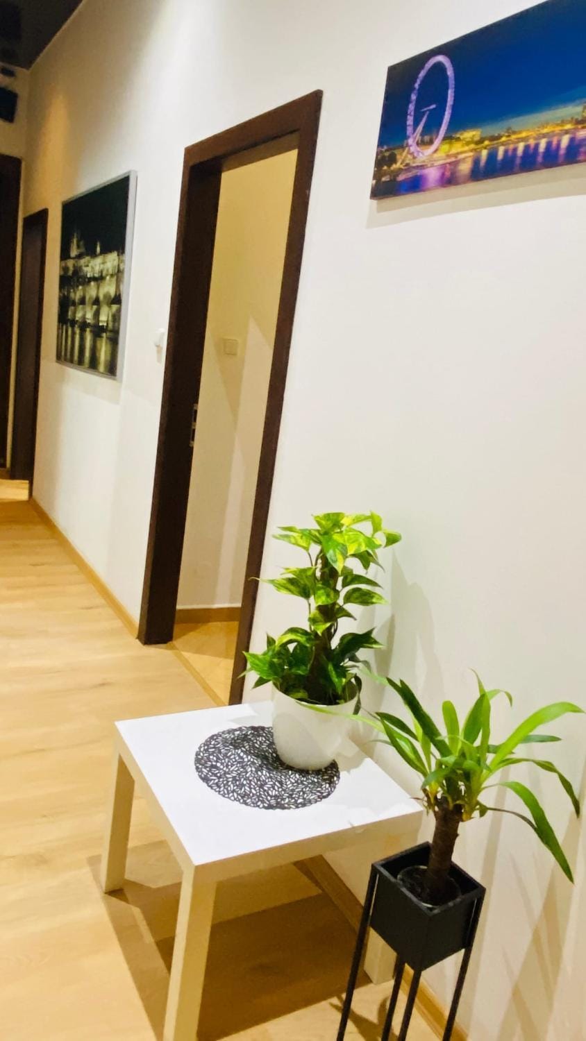 Luxus room in Prague 2 Square Apartment in Prague