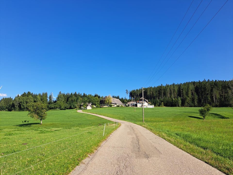 Natural landscape