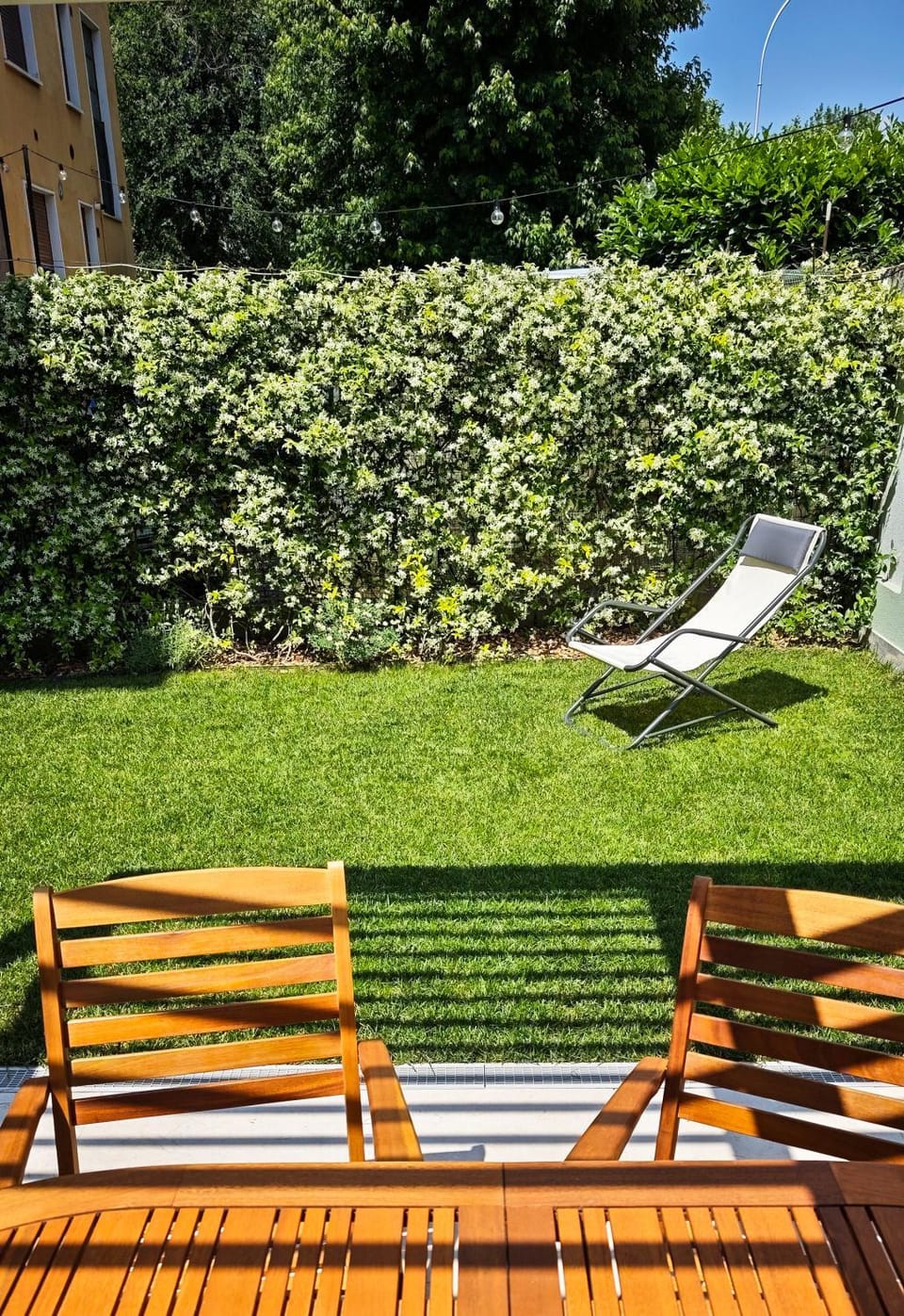 Garden view