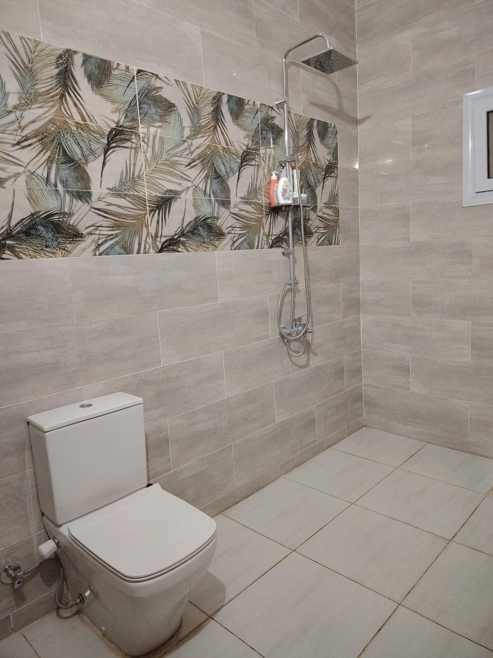 Shower, Toilet