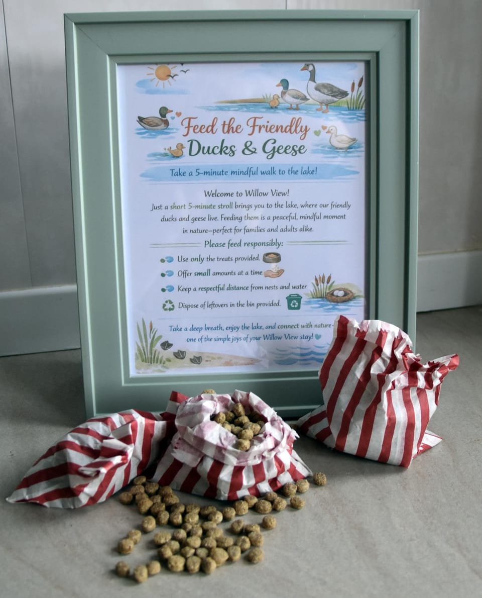 Activities, Entertainment