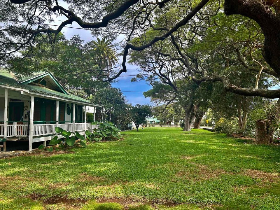 Natural landscape, Garden, Garden view