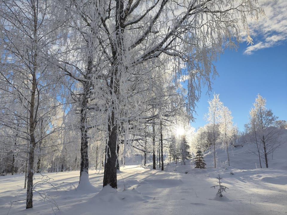 Natural landscape