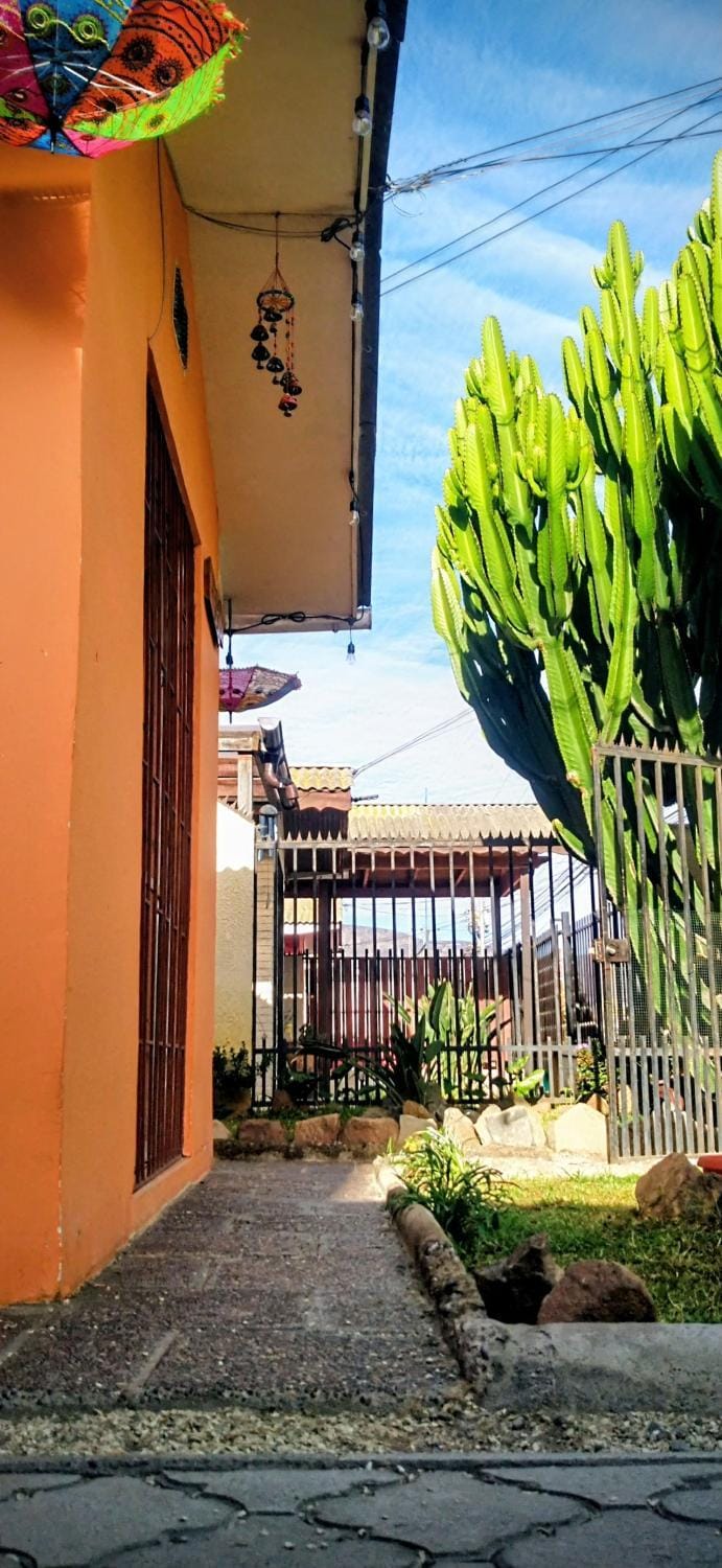 Garden view