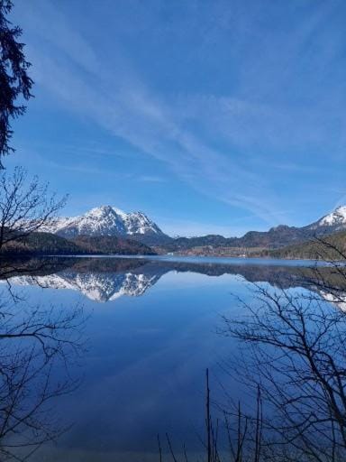 Lake view
