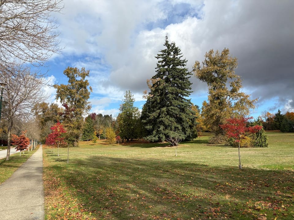 Natural landscape