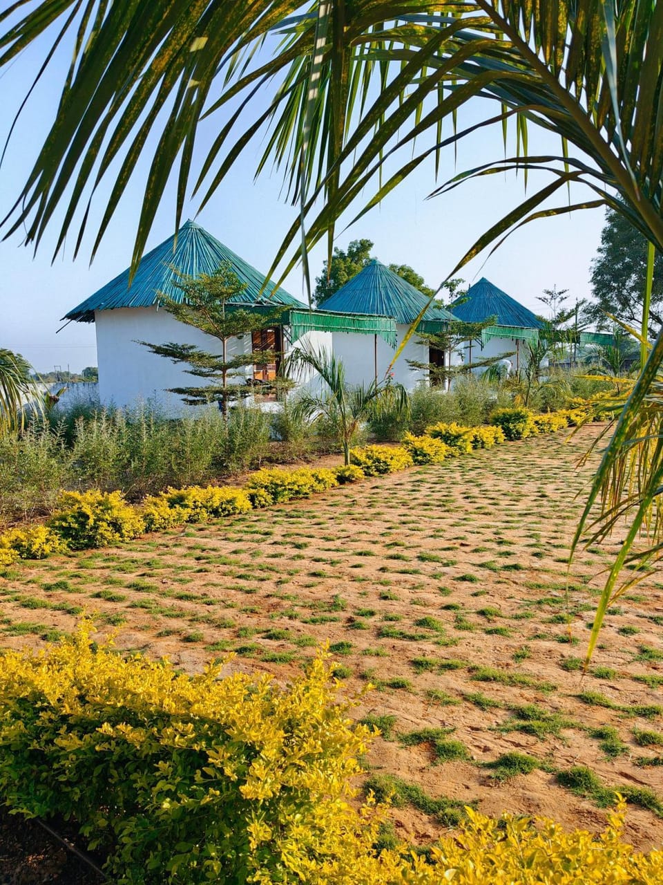 Garden, Garden, Garden view, Garden view
