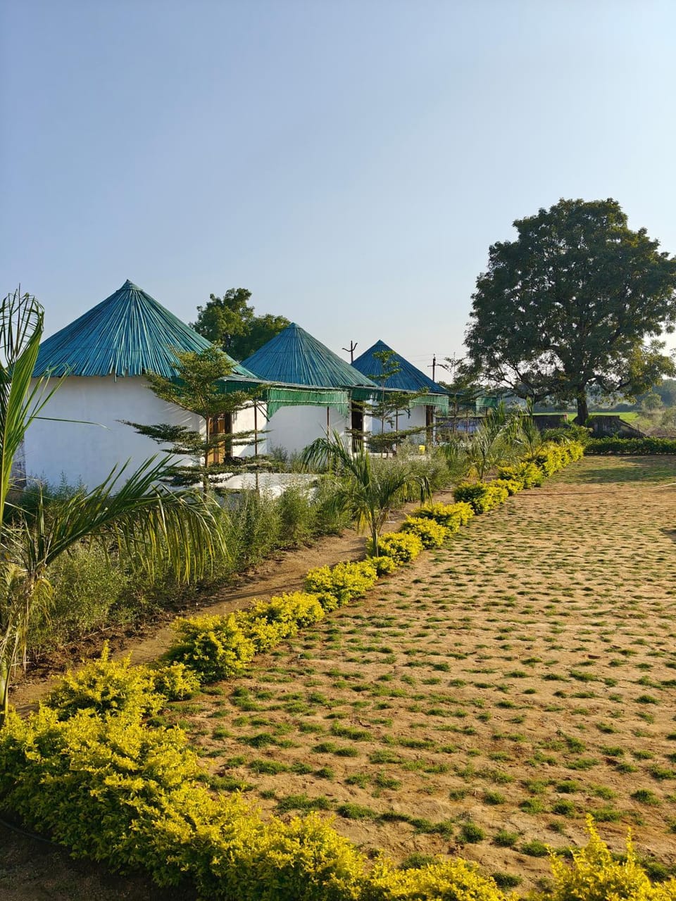 Property building, Garden, Garden view, Garden view