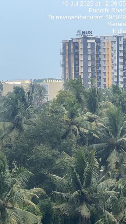 View (from property/room)